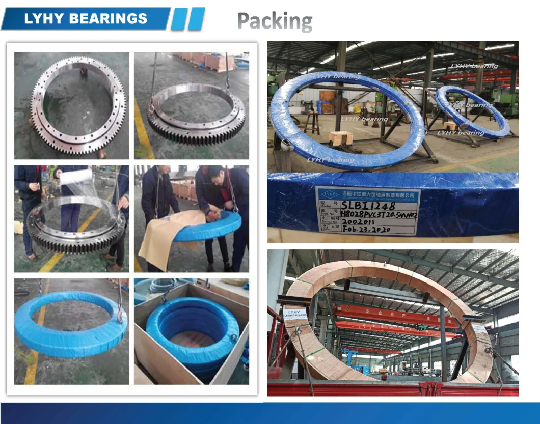 Small Size Slewing Ring Bearing for Truck Mounted Crane