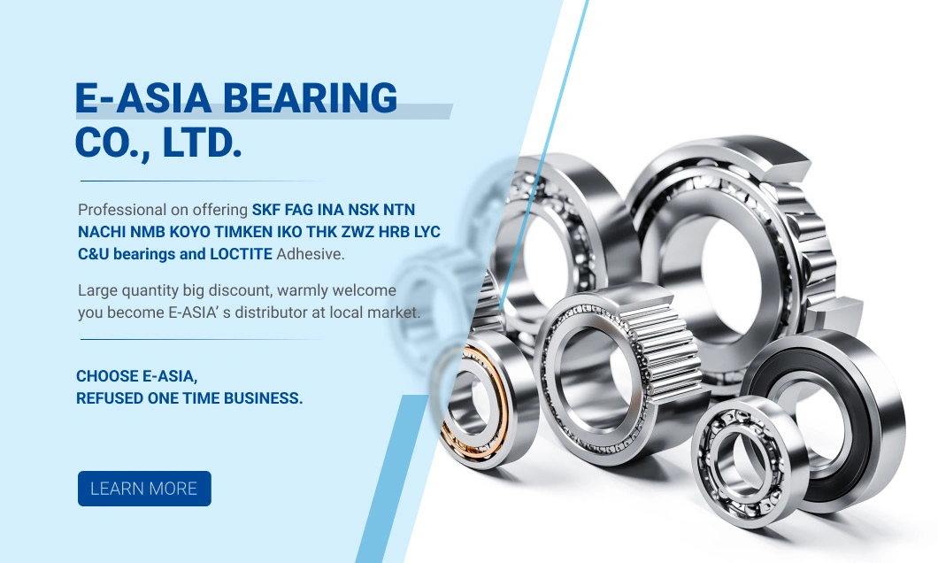 Fa Premium High-End Small Thrust Block Housing Spherical Roller Bearing