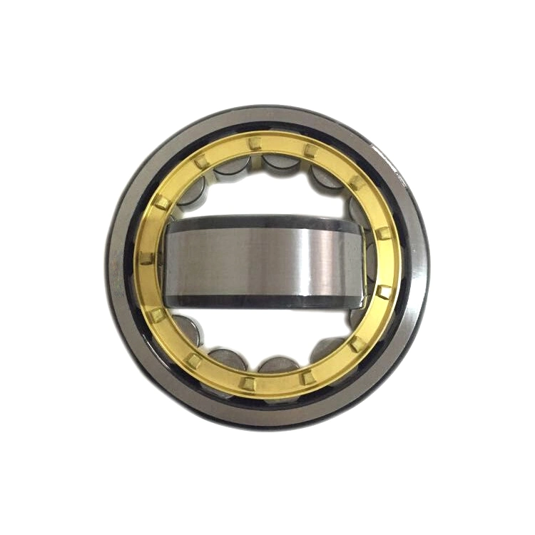 High Quality Cylindrical Roller Bearing with Sample Free N 1021 N 1022 N 1024 N 1026 Fast Delivery Standard Size Roller Bearing